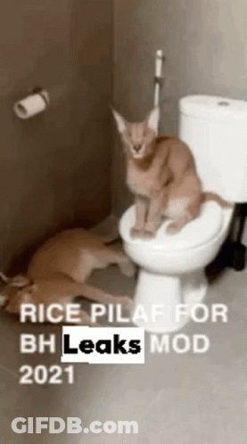Man At Table With Food And Two Maids GIF