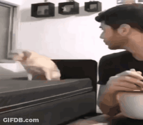 Man At Table With Food, Cat At Window GIF