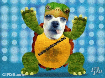 Man At Table With Turtle And Coffee Express Coffee Maker GIF