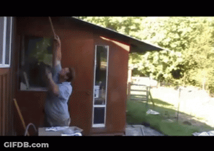Man Back Bee Sting GIF