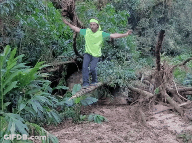 Man Balance On Tree Branch GIF