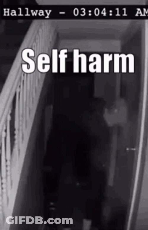 Man Banging Head I Hurt Myself Today GIF