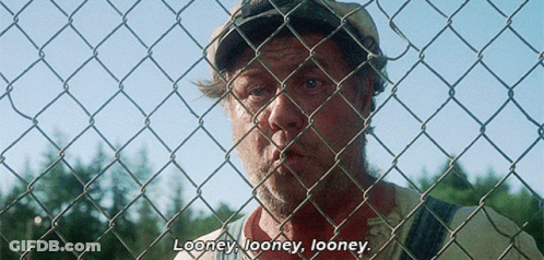 Man Behind Chain Link Fence Saying Looney GIF