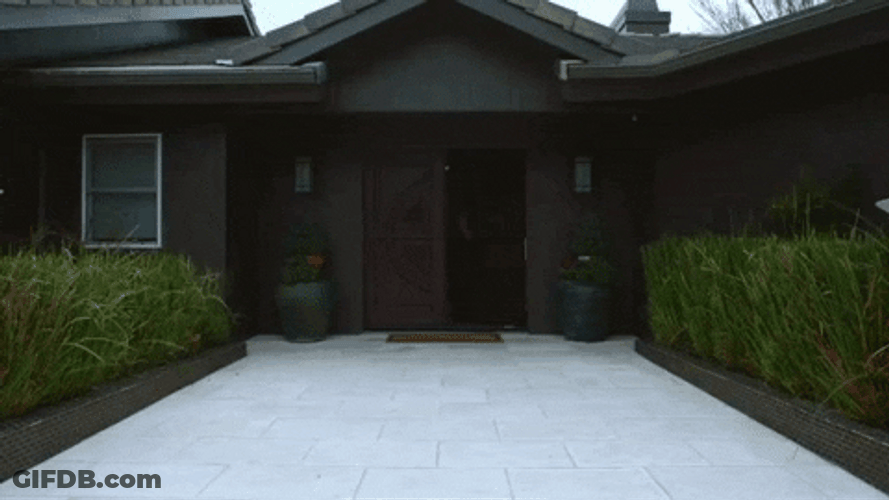 Man Bringing Happy Birthday Balloons GIF