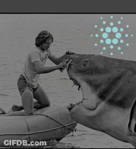 Man Brushing Shark On Boat GIF