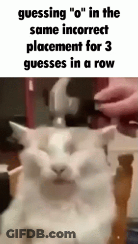 Man By Music Neon Sign Says I Was Just So Confused GIF
