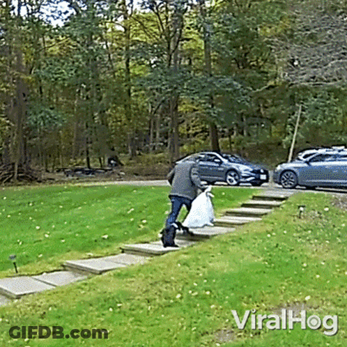 Man Carrying Bag Viralhog GIF