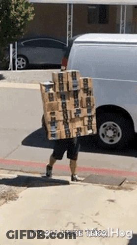 Man Carrying Boxes Saying It's All Here Teka Hog GIF