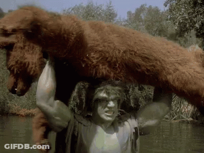Man Carrying Brown Bear On Shoulders GIF