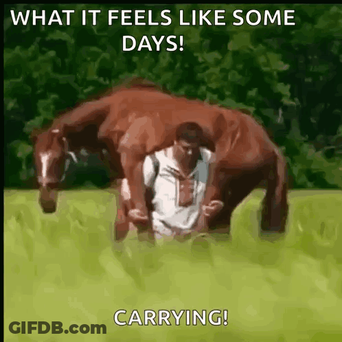 Man Carrying Horse In Field GIF