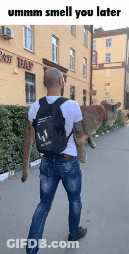 Man Carrying Messi Backpack And Cat GIF