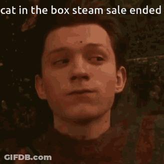 Man Cat In The Box Steam Sale Ended GIF