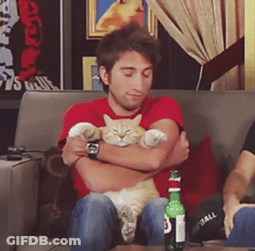 Man Cat Lover Hugs GIF