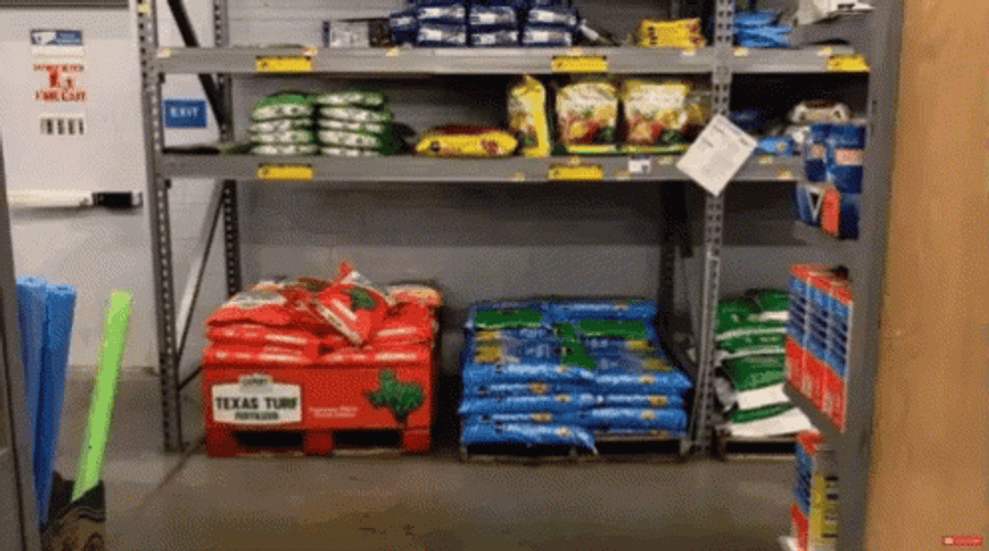 Man Caught Stealing Walmart Funny GIF