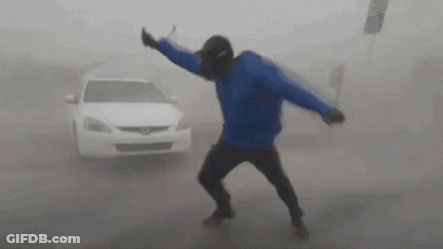 Man Challenges Hurricane GIF