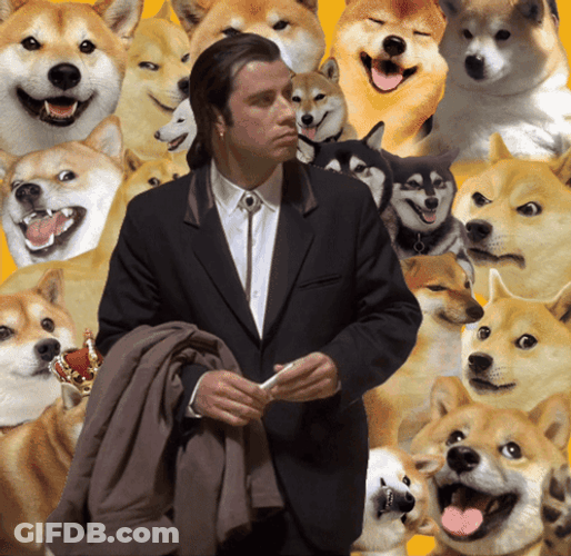 Man Choosing Doge Meme GIF