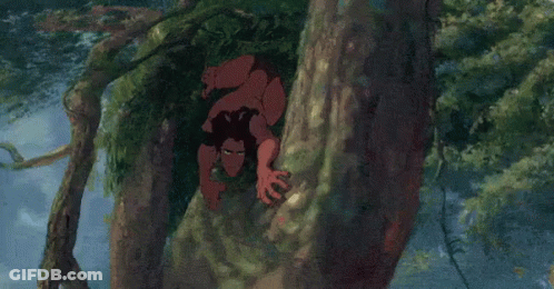 Man Climbing A Tree GIF