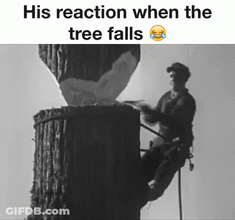 Man Climbing Tree Stump Black And White Reaction When Tree Falls GIF