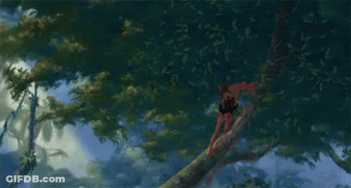 Man Climbing Tree With Leaves Falling GIF