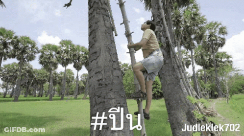 Man Climbing Up Tree With Number 702 GIF
