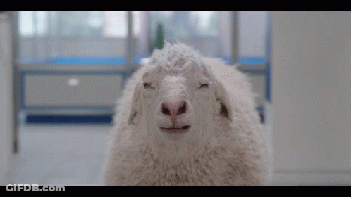 Man Close Up Making A Face GIF