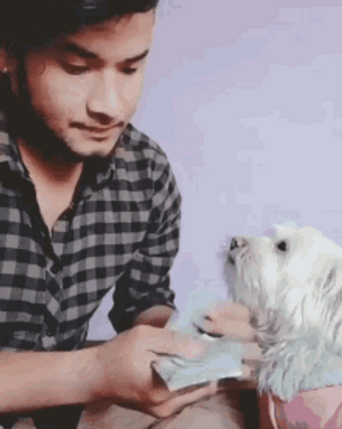 Man Counting Money With Dog GIF