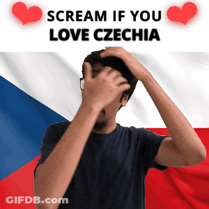 Man Covering Face Flag Scream If You Love Czechia GIF
