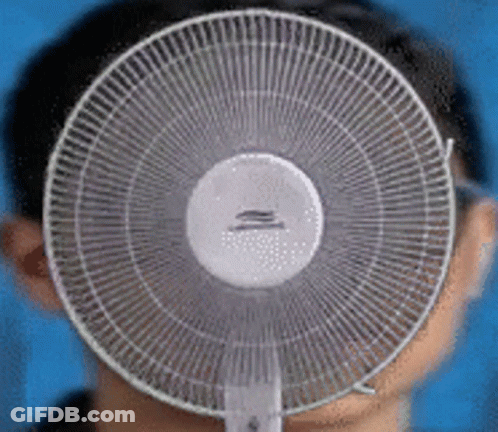 Man Covering Face With Fan GIF