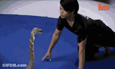 Man Crawling Next To Snake On Blue Mat With BT Logo GIF