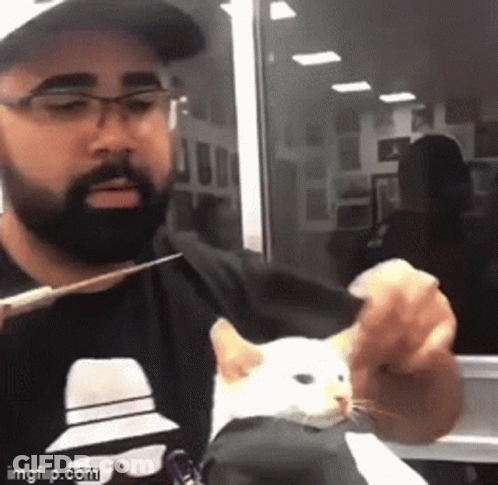 Man Cutting Cat Ear With Scissors GIF