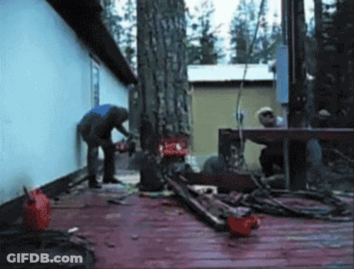 Man Cutting Tree With Chainsaw GIF