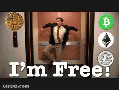 Man Dancing In Elevator Saying I'm Free GIF