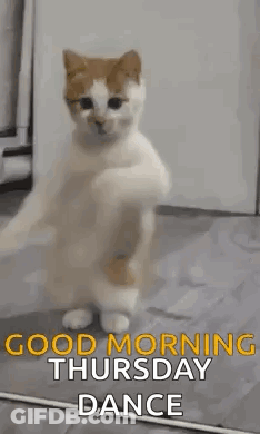 Man Dancing In Front Of Couch Saying You Say Thursday We Say Friday Eve GIF