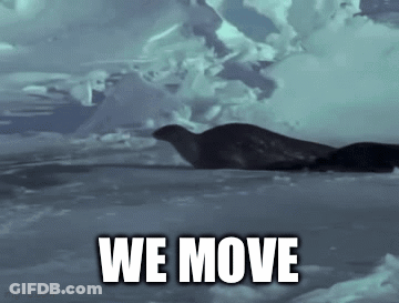 Man Dancing In Hallway Saying Play Your Move GIF