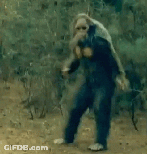 Man Dancing Next To Monkey In Forest GIF