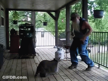Man Dancing On Porch With Cat Looking On GIF
