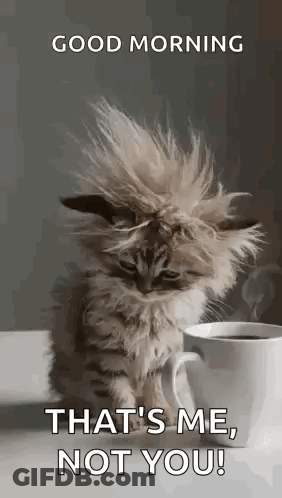 Man Dancing On Stage In Front Of Crowd GIF