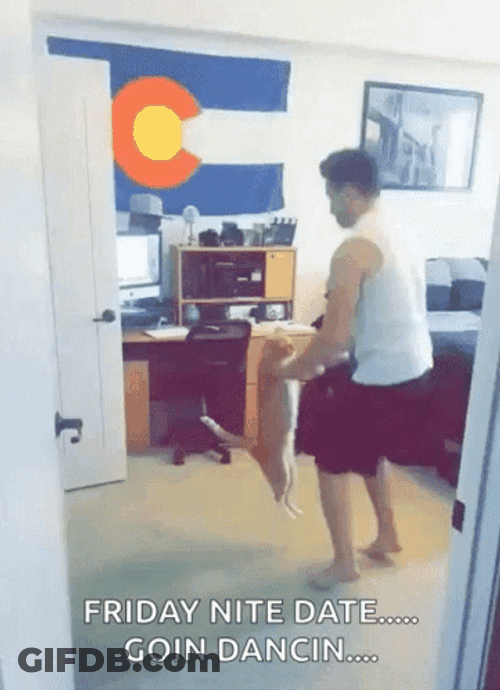 Man Dancing With Cat Friday Night Date GIF