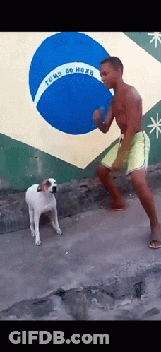 Man Dancing With Dog In Front Of Rumo Ao Hexa Flag GIF