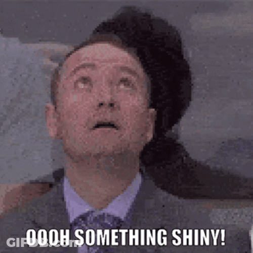 Man Distracted By Shiny Thing GIF