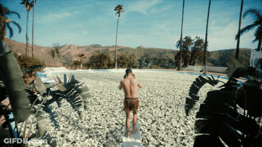 Man Dives On Dollar Bills GIF