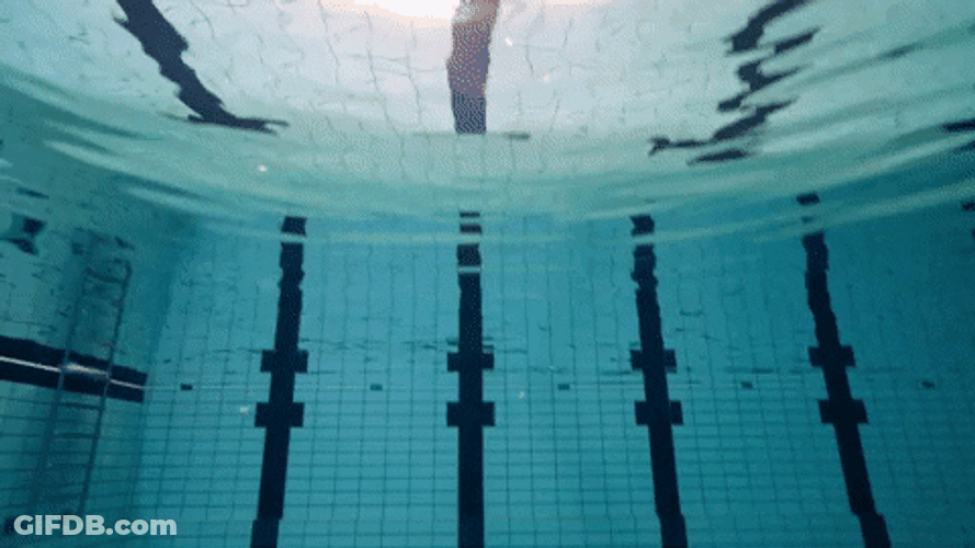 Man Diving In Pool GIF