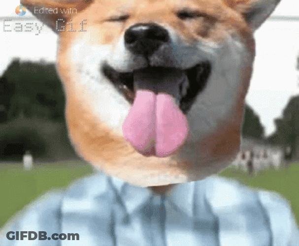Man Dog Running GIF