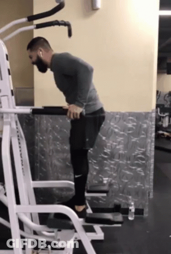 Man Doing Dips On Titan Machine GIF