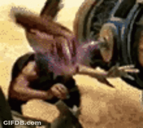 Man Doing Handstand In Sand While Another Holds Purple Object GIF