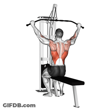 Man Doing Lat Pulldown On Bench GIF