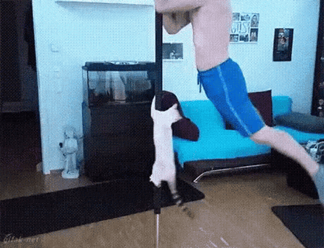 Man Doing Pole Dance With His Cat GIF