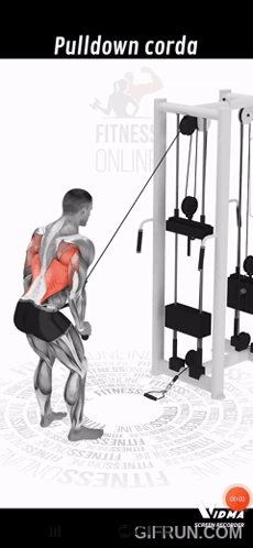 Man Doing Pull Down Corda Exercise GIF
