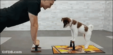 Man Doing Push Ups With Puppy GIF