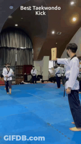 Man Doing Taekwondo Kick GIF